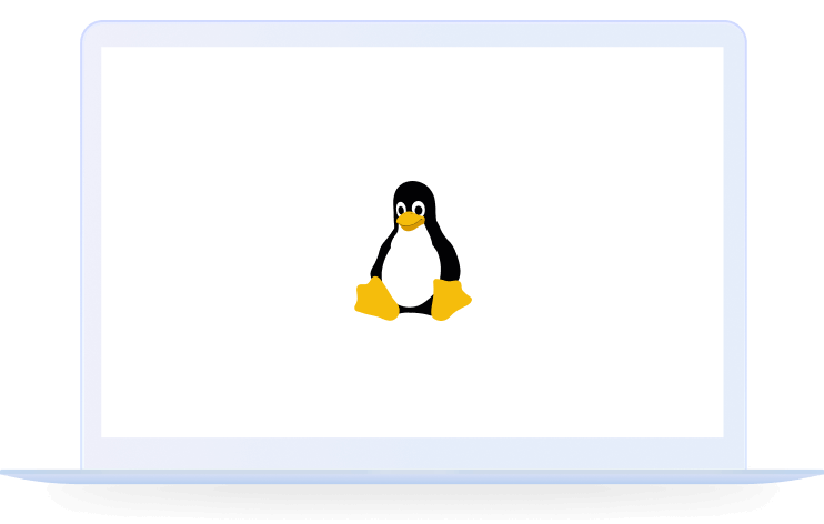 Linux 版有道翻译